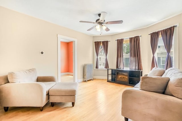 132 Myrtle St Unit 1, Waltham, MA 02453 - living area featuring radiator heating unit, light wood-type flooring, and a ceiling fan