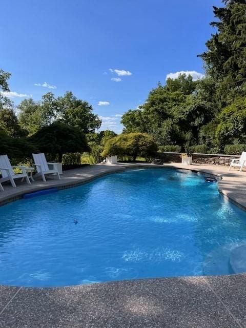 view of swimming pool