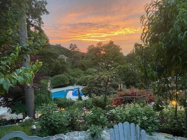 view of nature at dusk