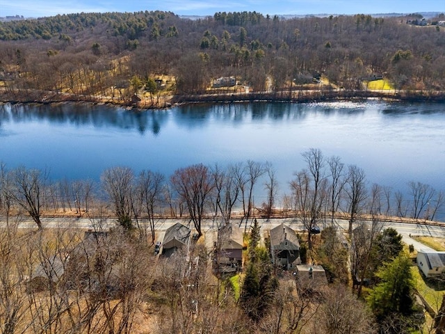 water view featuring a view of trees