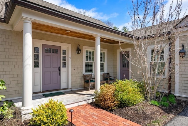 doorway to property with a shingled roof and covered porch