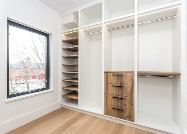 walk in closet featuring light wood-style floors