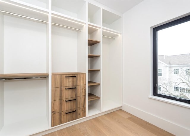spacious closet with light wood finished floors