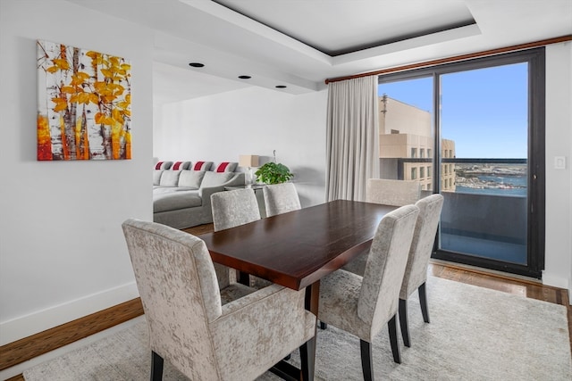 dining room with a raised ceiling and hardwood / wood-style flooring