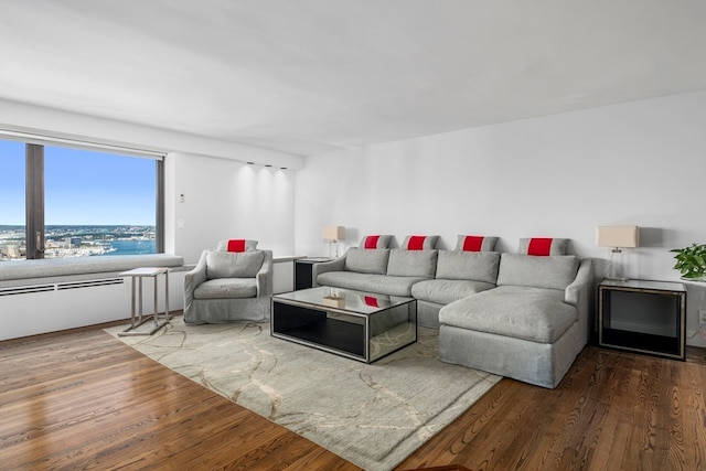 living room featuring hardwood / wood-style flooring