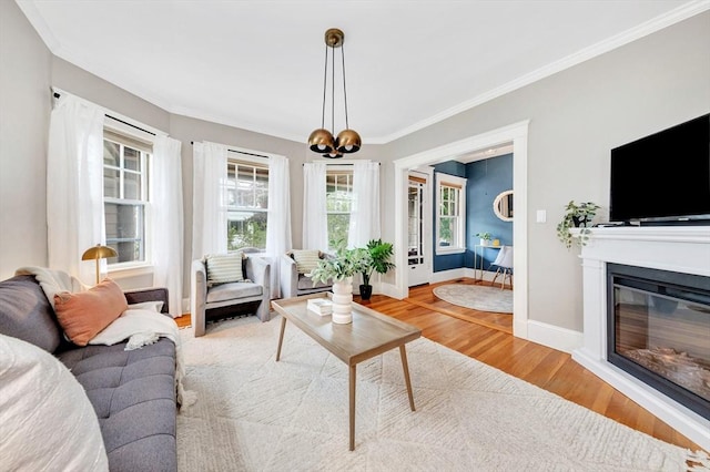 100 Melrose St Unit 100, Arlington, MA 02474 - living area with ornamental molding, wood finished floors, plenty of natural light, baseboards, and a glass covered fireplace