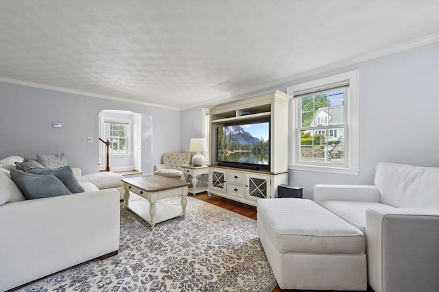 223 Warren St, Waltham, MA 02453 - living room with arched walkways, dark wood-type flooring, and ornamental molding