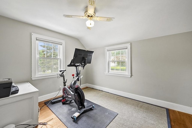 223 Warren St, Waltham, MA 02453 - exercise area with lofted ceiling, healthy amount of natural light, ceiling fan, baseboards, and wood finished floors