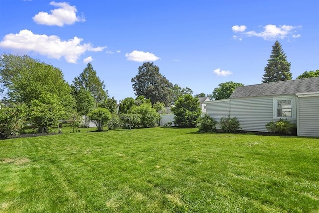 223 Warren St, Waltham, MA 02453 - view of yard