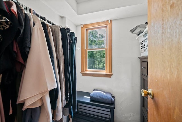 167 Green St, Abington, MA 02351 - view of spacious closet