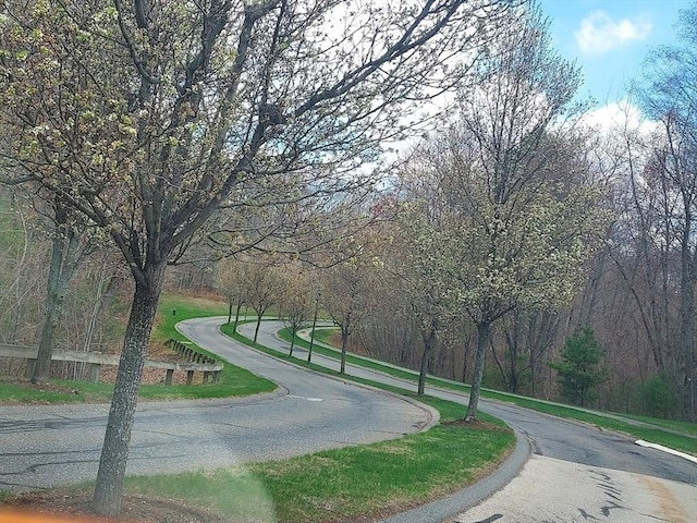 30 Horne Way Unit 30, Millbury, MA 01527 - view of property's community with curved driveway