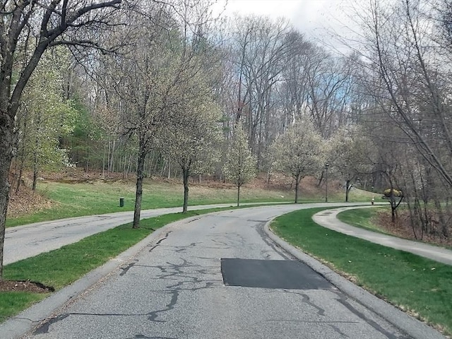 30 Horne Way Unit 30, Millbury, MA 01527 - view of asphalt road featuring curbs and sidewalks