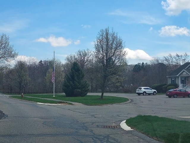30 Horne Way Unit 30, Millbury, MA 01527 - view of asphalt road featuring curbs