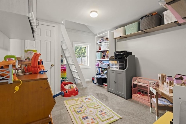 playroom featuring carpet floors