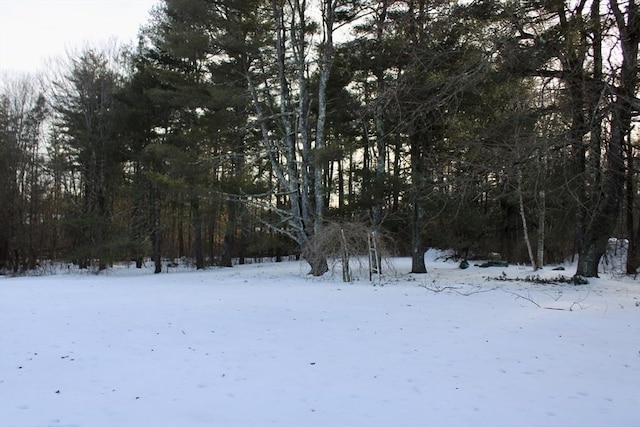 view of snowy yard