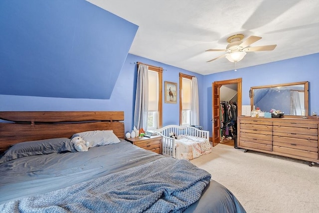 bedroom with a closet, ceiling fan, carpet floors, and a walk in closet