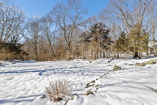 view of yard layered in snow