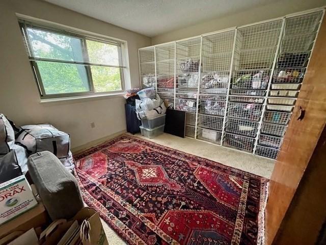 51 John St Unit 201, Brookline, MA 02446 - living area with baseboards and carpet