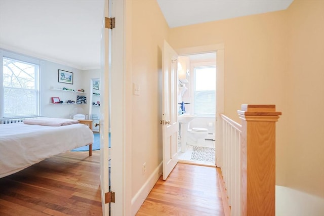 corridor with plenty of natural light, light wood-type flooring, baseboards, and ornamental molding