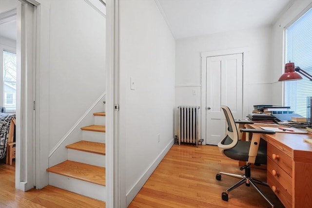 office space featuring light wood-style flooring, radiator, and baseboards