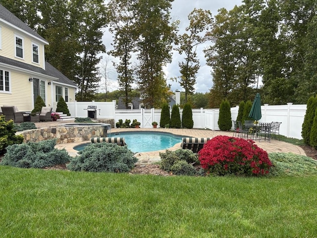 view of pool with a patio area and a yard