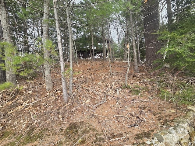 view of nature