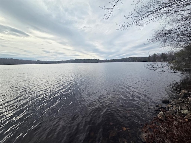 property view of water