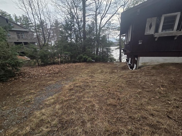 view of yard