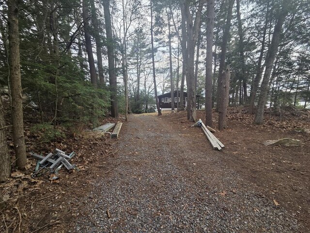 view of street with driveway