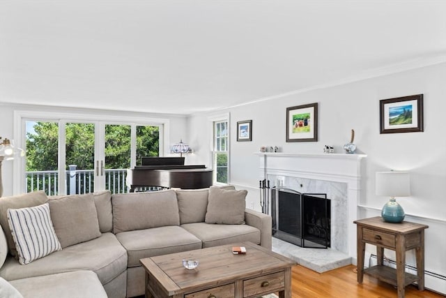 65 Myles View Dr, Duxbury, MA 02332 - living area with plenty of natural light, a baseboard radiator, light wood-style floors, a fireplace, and ornamental molding