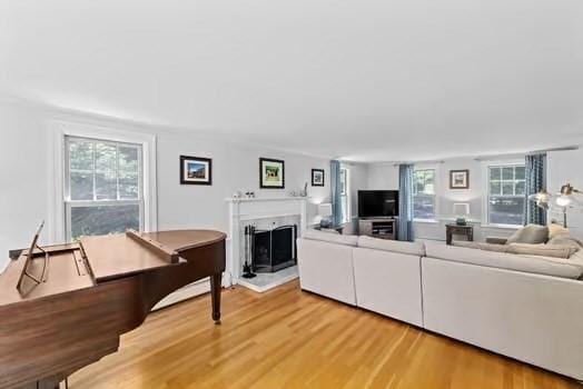 65 Myles View Dr, Duxbury, MA 02332 - living room with healthy amount of natural light, light wood-style floors, and a fireplace with raised hearth