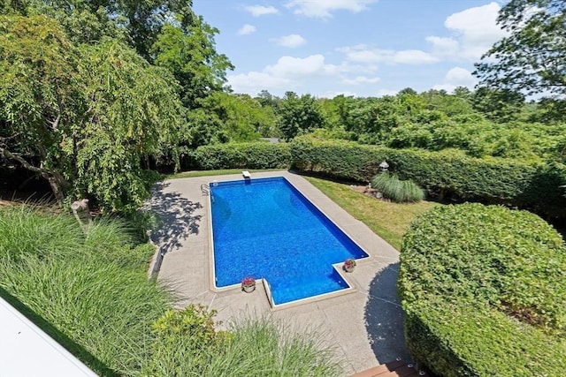 65 Myles View Dr, Duxbury, MA 02332 - view of swimming pool with a diving board