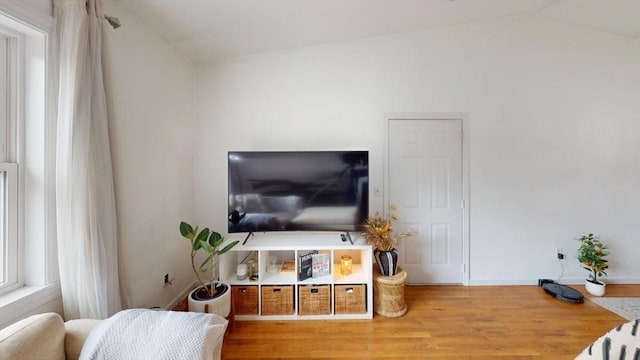 living room with lofted ceiling and wood-type flooring