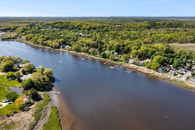 aerial view featuring a view of trees and a water view