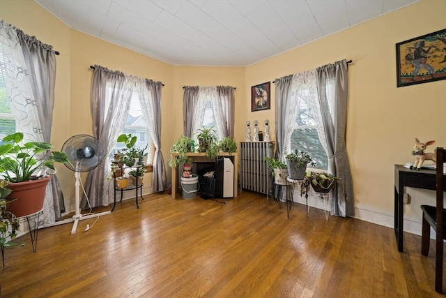 living area featuring wood-type flooring and radiator