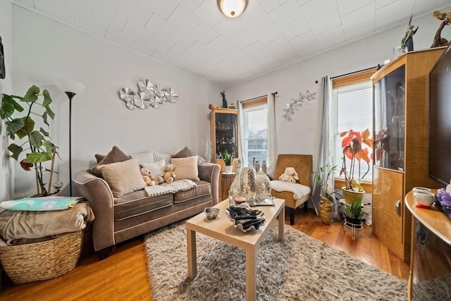 living area featuring wood finished floors