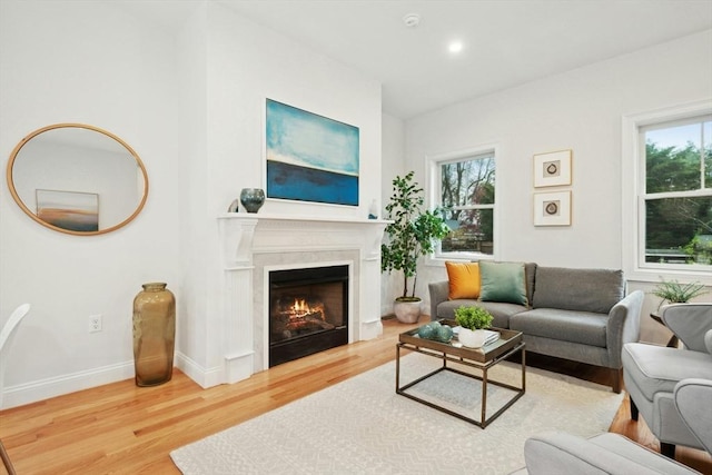 living room featuring hardwood / wood-style floors