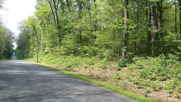 XOXO Mihaliak Rd, Willington CT, 06279 land for sale