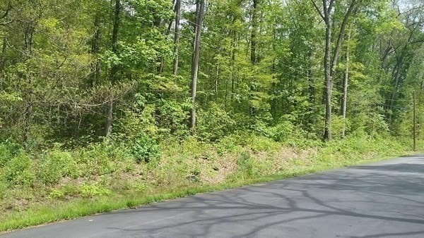 Listing photo 3 for XOXO Mihaliak Rd, Willington CT 06279