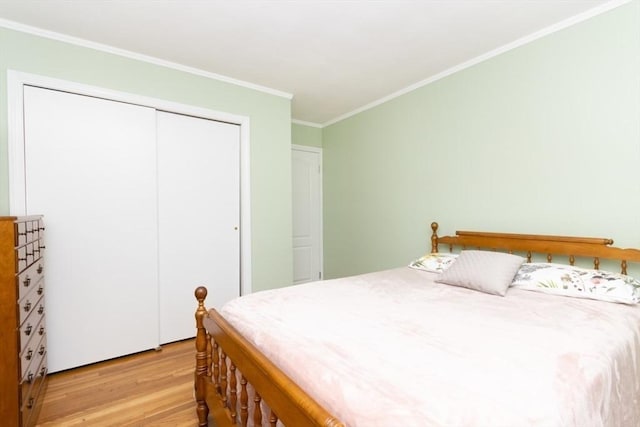 5 Cass St Unit 12, Boston, MA 02132 - bedroom with light wood-type flooring, crown molding, and a closet