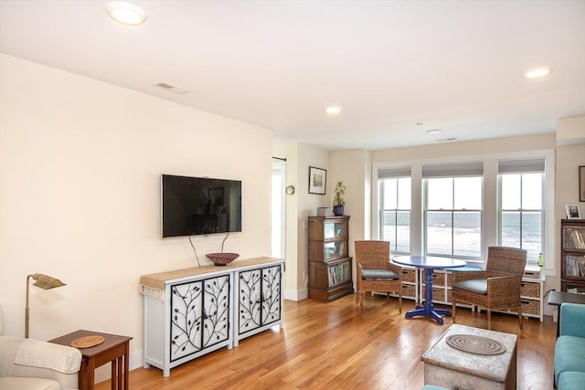 living room featuring wood-type flooring