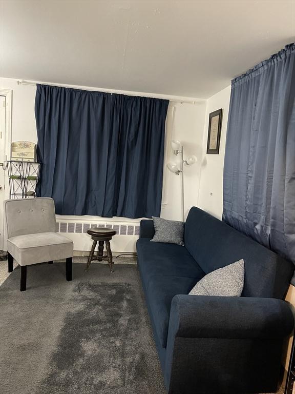 carpeted living area with radiator