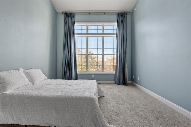 bedroom with carpet