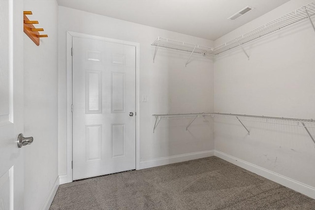 walk in closet featuring carpet flooring