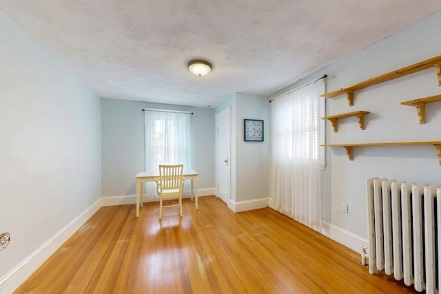 19 Orlando Ave, Winthrop, MA 02152 - spare room with radiator, light wood-style floors, baseboards, and a textured ceiling