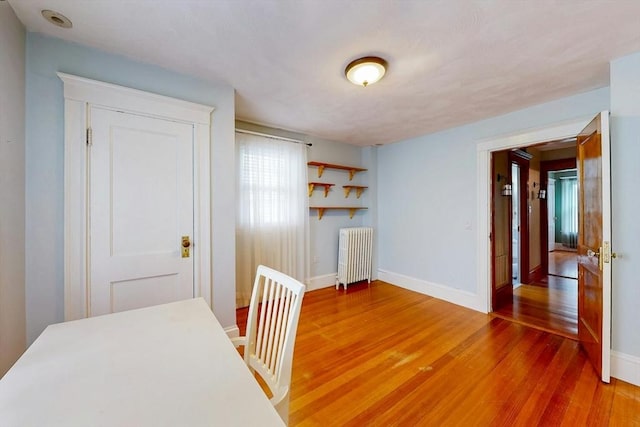 19 Orlando Ave, Winthrop, MA 02152 - corridor with radiator, light wood-style flooring, and baseboards