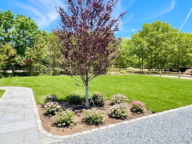 view of home's community with a yard