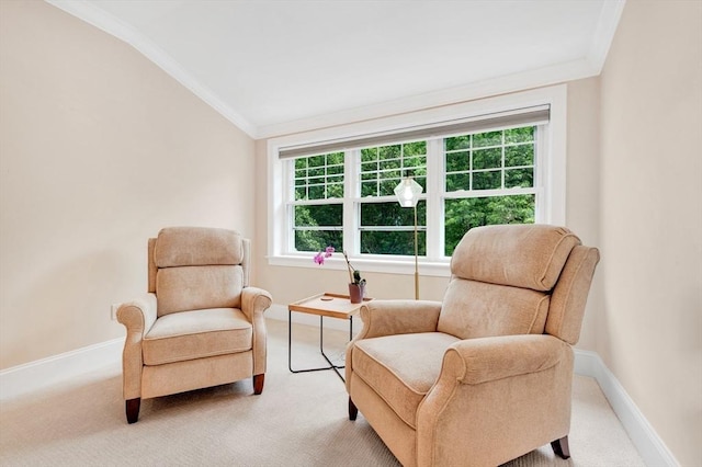 95 Conant St Unit 404, Concord, MA 01742 - sitting room with ornamental molding, vaulted ceiling, carpet, and baseboards