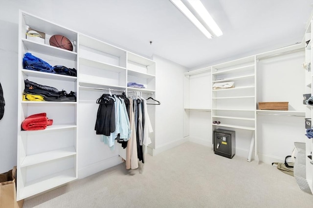 95 Conant St Unit 404, Concord, MA 01742 - spacious closet with light colored carpet