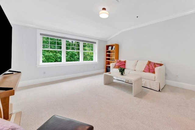 95 Conant St Unit 404, Concord, MA 01742 - living area with vaulted ceiling, crown molding, baseboards, and carpet